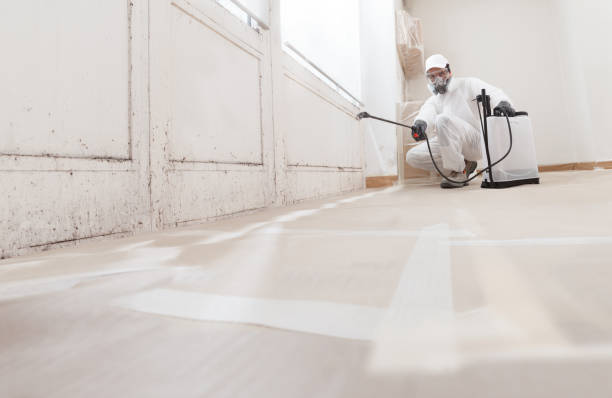 24/7 Emergency Basement Mold Removal experts in Centreville, VA