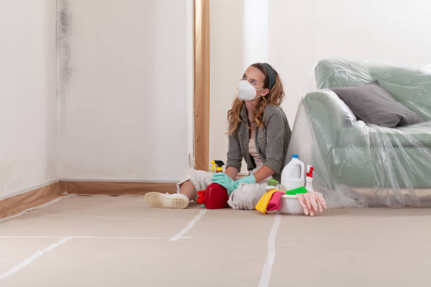Reliable Basement Mold Removal contractor in Centreville, VA by WQB Mold Removal